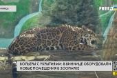 Вольєри з укриттями: нові приміщення в зоопарку обладнали у Вінниці