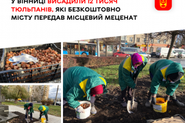 У Вінниці висадили 12 тисяч тюльпанів, які безкоштовно місту передав місцевий меценат