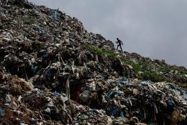 У Вінниці шукатимуть підприємців, які будуть вивозити сміття