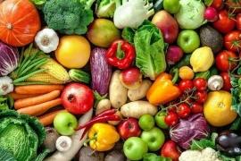 У Вінницькій області разом з німцями розвиватимуть овочевий проєкт