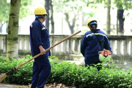 У Вапнярці комунальне підприємство шукає працівників з благоустрою