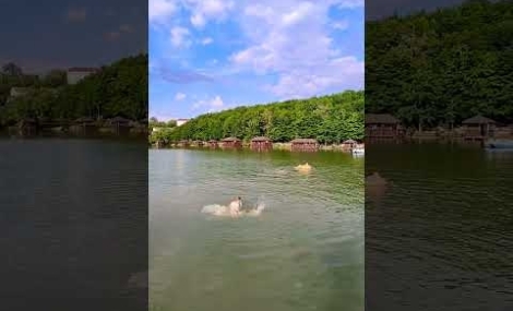 Embedded thumbnail