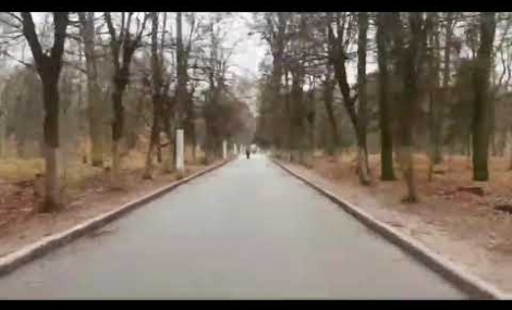 Вбудована мініатюра