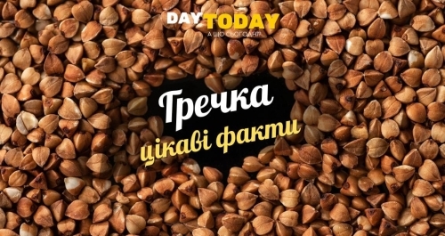 Цікаві факти про гречку Цікаві факти про гречку
