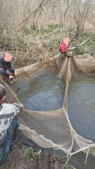 Майже 13 мільйонів гривень збитків: на Вінниччині п’ятеро рибалок виловили понад 700 кілограмів риби