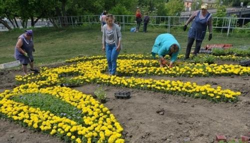 У Вінниці на Замковій горі створили квіткове панно у вигляді Герба України