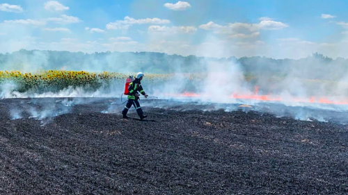 На Тульчинщині пожежа знищила 200 кв. м посівів ячменю На Тульчинщині пожежа знищила 200 кв. м посівів ячменю