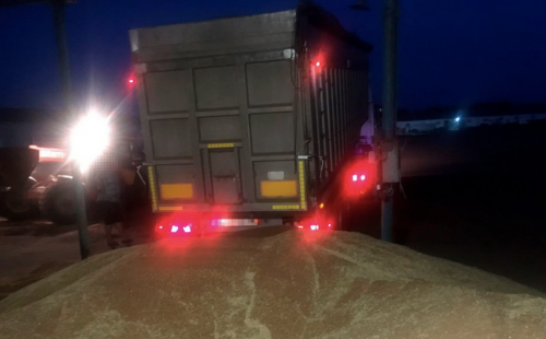 На Вінниччині водій вантажівки намагався викрасти з поля понад 23 тони пшениці