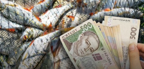Рибалці-браконьєру з Вінниччини доведеться сплатити майже 1 млн грн збитків