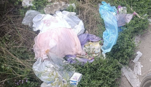 «До сміттєвих баків доносити не вміють»: у Вапнярці дорогу до музичної школи перетворили на сміттєзвалище «До сміттєвих баків доносити не вміють»: у Вапнярці дорогу до музичної школи перетворили на сміттєзвалище