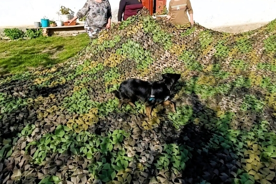Як «Селянка – панянка» з Капустян Тростянецької громади підтримує Захисників Як «Селянка – панянка» з Капустян Тростянецької громади підтримує Захисників