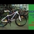 Embedded thumbnail