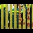 Embedded thumbnail